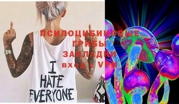 хмурый Балахна