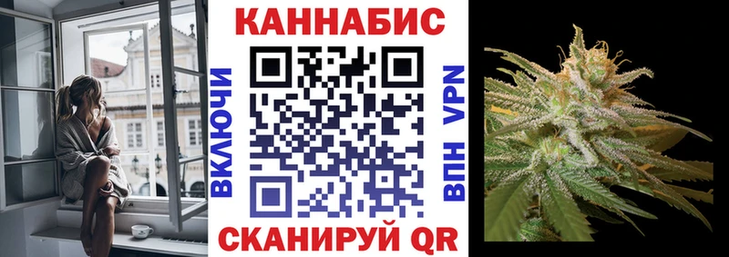 Конопля гибрид  Няндома 